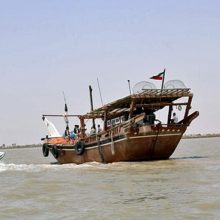 دریابانی